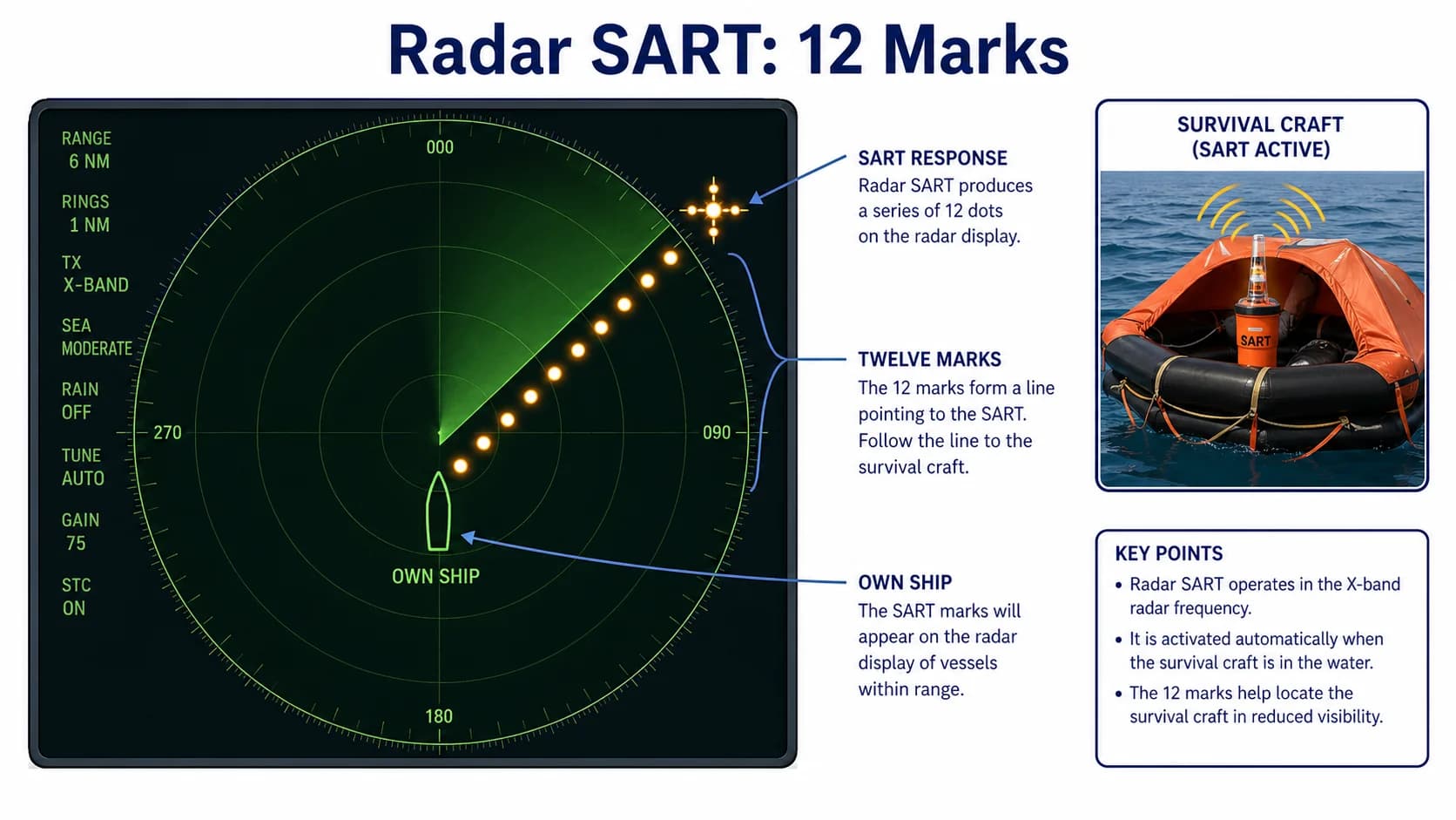 Radar SART response on the X-band display: 12 equally spaced marks aligned with the SART position