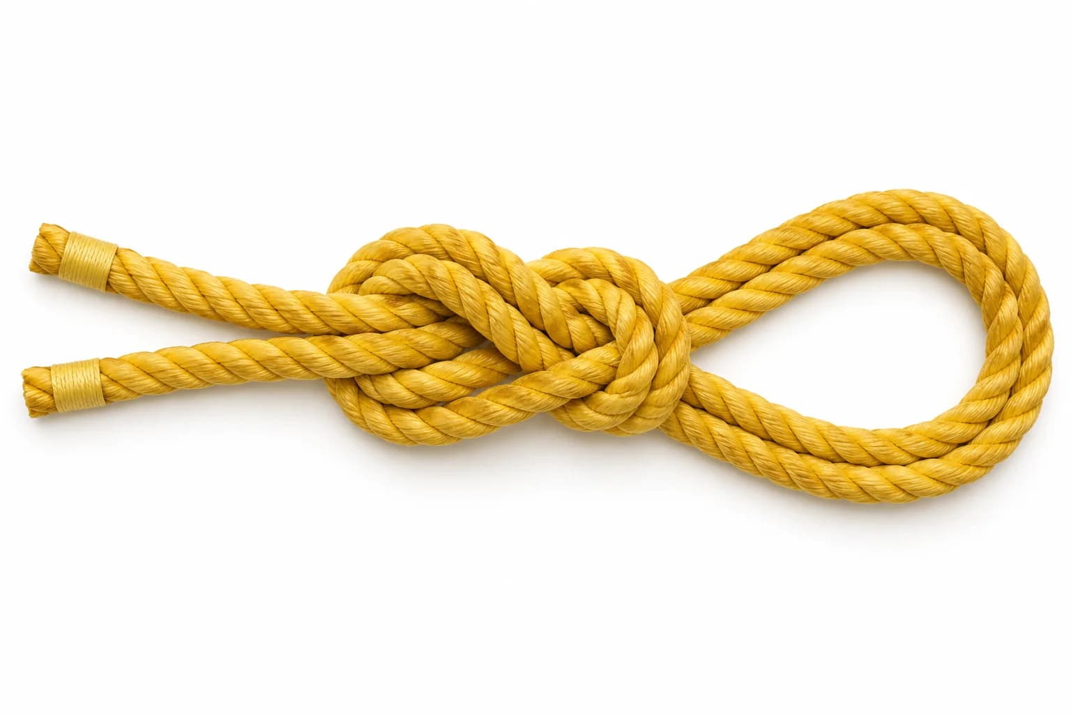 Figure-eight loop: finished knot diagram